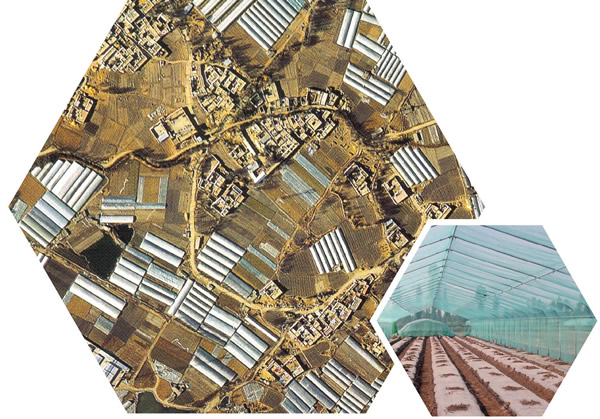 光穩定劑在汽車內飾中的應用:守護駕乘空間的美觀與安全 光穩定劑在汽車內飾中的應用:守護駕乘空間的美觀與安全