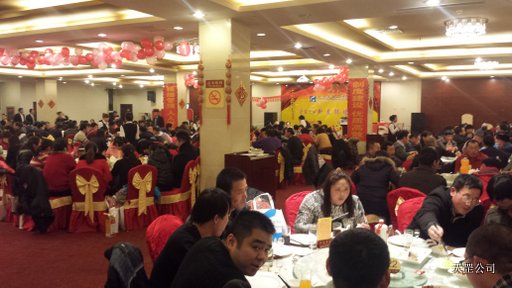 天罡公司2014年新春聯歡會在北京國開會議中心舉行