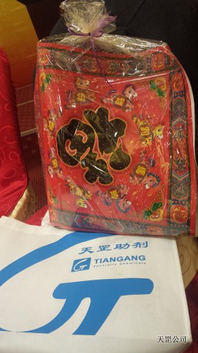 天罡公司2014年新春聯歡會在北京國開會議中心舉行