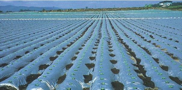 天罡光穩定劑對中溫化學鍍鎳-磷合金的影響 天罡光穩定劑對中溫化學鍍鎳-磷合金的影響