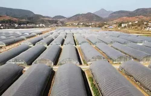 光穩(wěn)定劑HS-80在載重輪胎胎肩膠中的應(yīng)用