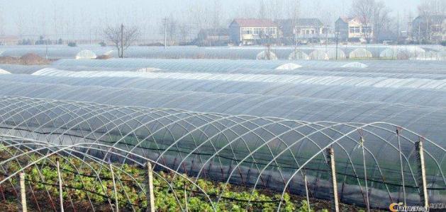 紫外線吸收劑uv531產品說明書