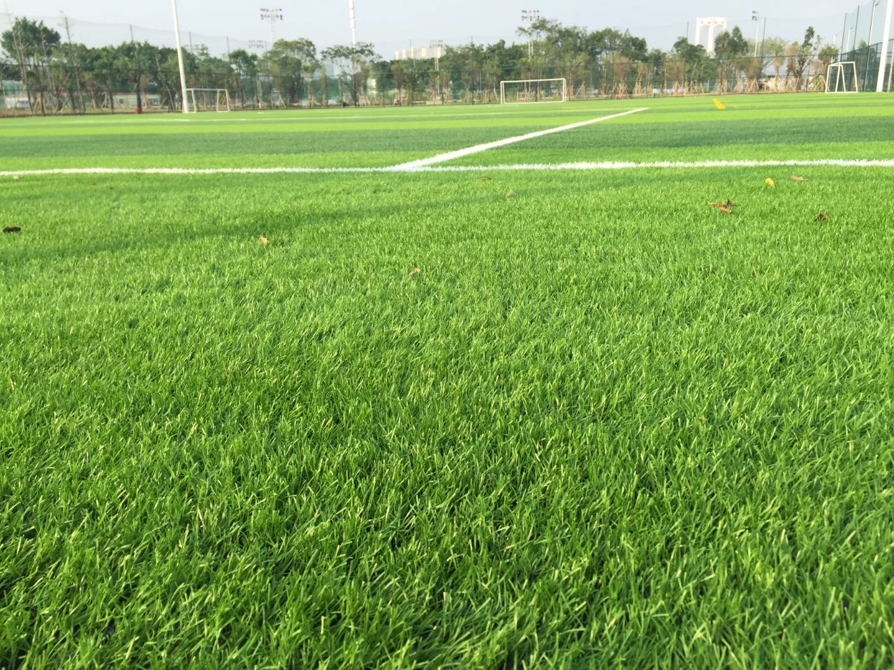 創新不止步,北京天罡新一代光穩定劑蟬聯“榮格技術創新獎” 創新不止步,北京天罡新一代光穩定劑蟬聯“榮格技術創新獎”