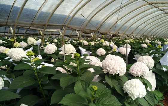 光穩定劑:塑料材料的守護神,北京天罡助劑有限公司的科技擔當