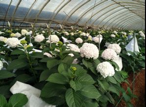 如何通過光穩定劑降低塑料制品生命周期成本