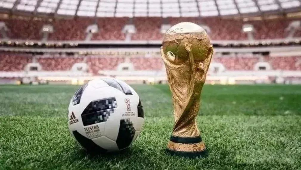 人造草走紅世界杯,背后的中國材料科技藏不住了!